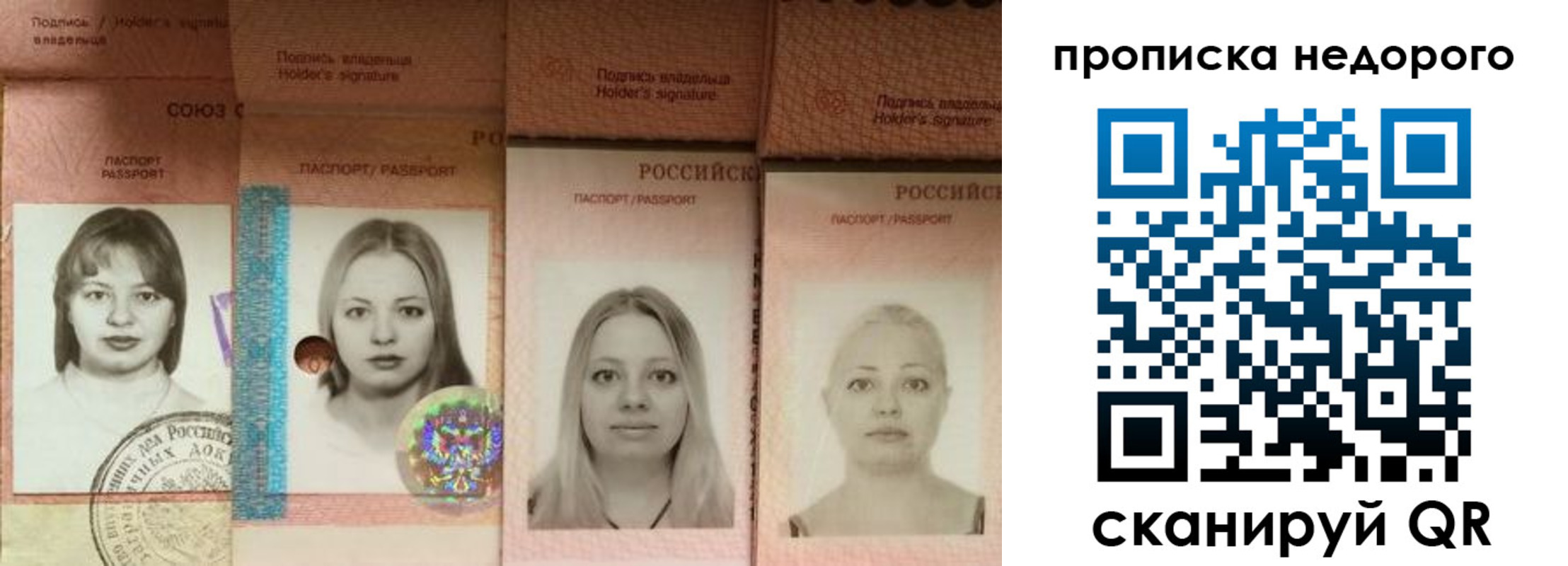 прописка в Коле