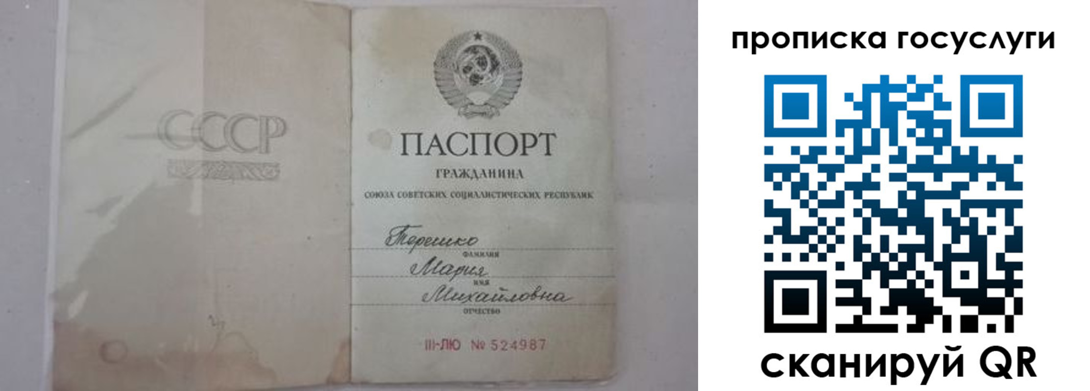прописка ребенка в Коле